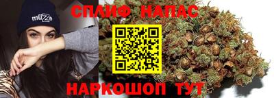 индика Краснознаменск