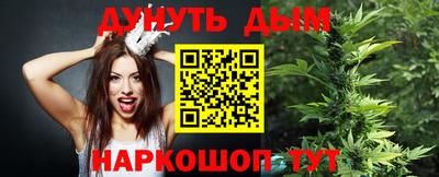 индика Краснознаменск